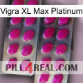 Vigra Xl Max Platinum 10